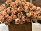 Nydelig rose 50cm thumbnail
