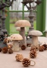 Sopp i tre 10x13cm thumbnail