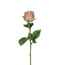 Nydelig rose 50cm thumbnail