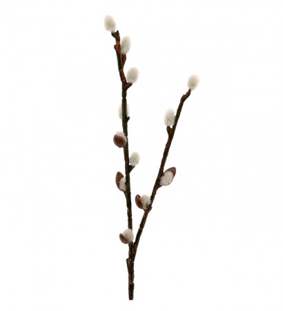 Gåsunger H 36 cm