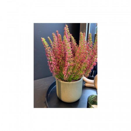 Vidar matt olive grønn blomsterpotte D12H10 