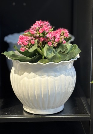 Blomster potte metall 18x10x14cm