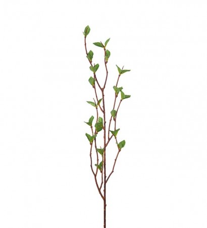 Bjørke kvister  H 50 cm 